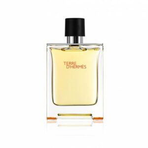 Hermes-Terre-D'hermes-EDT-for-Men-100ml-Bottle