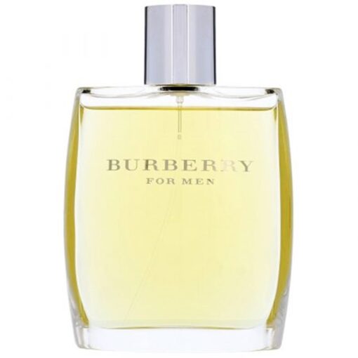 Burberry-EDT-for-Men-100ml-Bottle