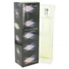 Elizabeth-Arden-Provocative-Woman-EDP-100ml
