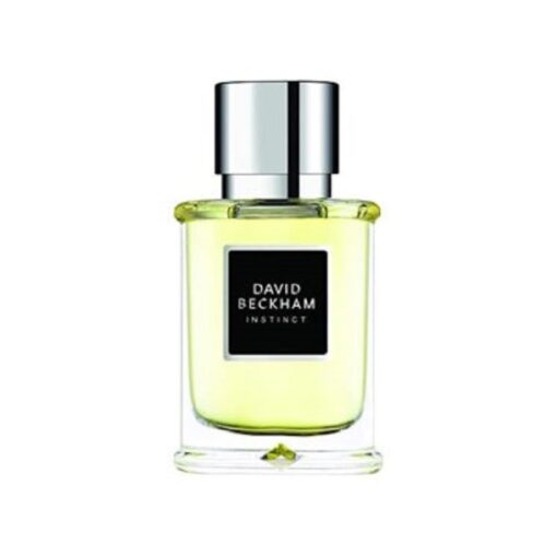david-beckham-instinct-edp-for-men-75ml-Bottle
